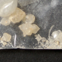 Molly molecular scheme