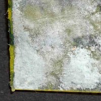 Molly molecular scheme