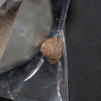 Brown Residue molecular scheme