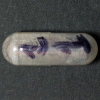 Psilocin molecular scheme