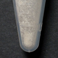 2C-B molecular scheme