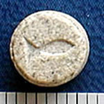 Fish molecular scheme