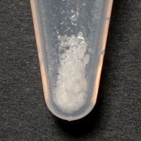 MDMA molecular scheme