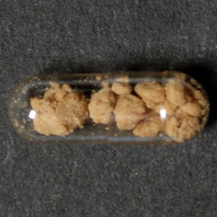 5-MeO-DMT molecular scheme