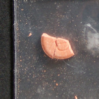 AD 30 molecular scheme