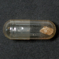 MDMA molecular scheme