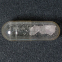 Molly molecular scheme