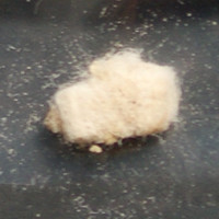 Fentanyl molecular scheme