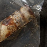 Crack molecular scheme