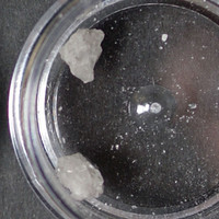 MDMA molecular scheme