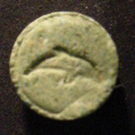 dolphin molecular scheme