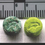 Dolphin molecular scheme