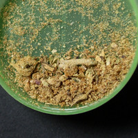 Weed molecular scheme