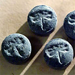 Dragonfly molecular scheme