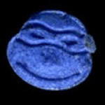 Ninja Turtle molecular scheme