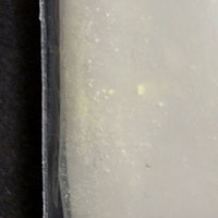 Off-White Powder molecular scheme