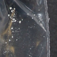 Cocaine molecular scheme