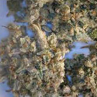 Adulterated Cannabis molecular scheme