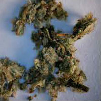 Adulterated Cannabis molecular scheme