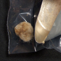 Dope molecular scheme