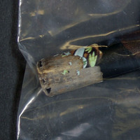 Crack molecular scheme