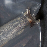 Crack molecular scheme