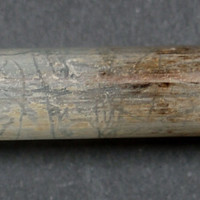 Crack molecular scheme