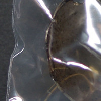 Methamphetamine molecular scheme