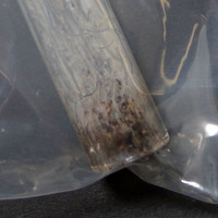 Crack molecular scheme