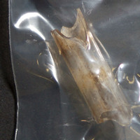 Crack molecular scheme