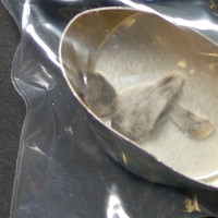 Residue molecular scheme