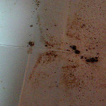 heroin molecular scheme