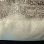 3.6 molecular scheme