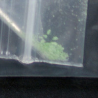 Green Powder molecular scheme