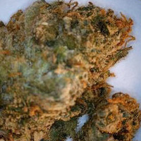 Adulterated Cannabis molecular scheme