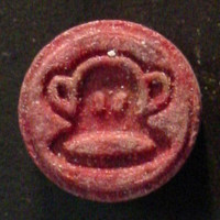 Monkey molecular scheme