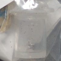 Dope molecular scheme