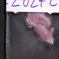 Fentanyl molecular scheme