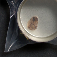 Down molecular scheme