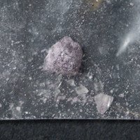 Molly molecular scheme