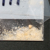 MDMA molecular scheme