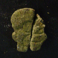 green_homer molecular scheme