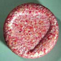 Heart molecular scheme