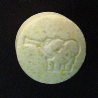 elephant molecular scheme