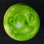 Monkey molecular scheme