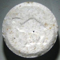 Camel molecular scheme