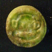 Green Monkey molecular scheme