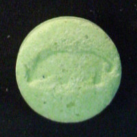 Animal molecular scheme