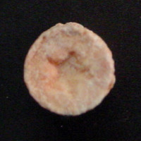 Star molecular scheme