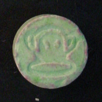 Monkey molecular scheme